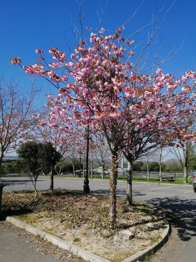 Tara View Apartments Garristown Luaran gambar